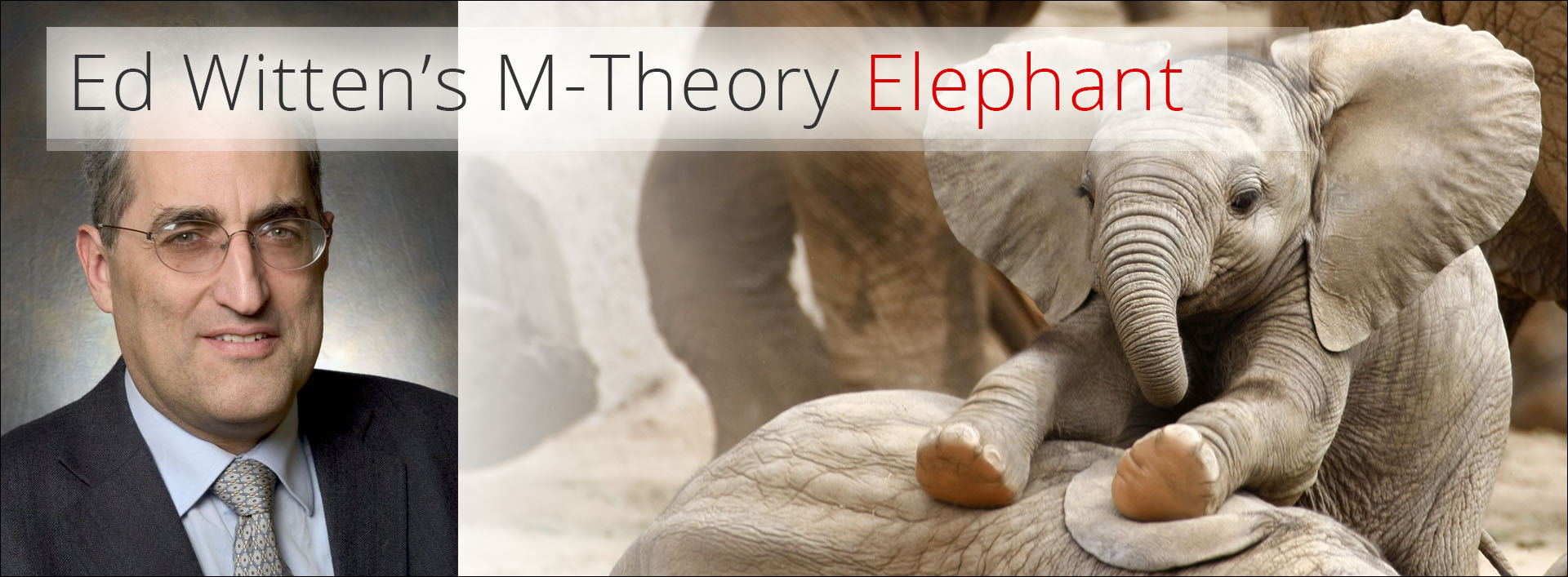 Ed-Witten’s__M-Theory-Elephant
